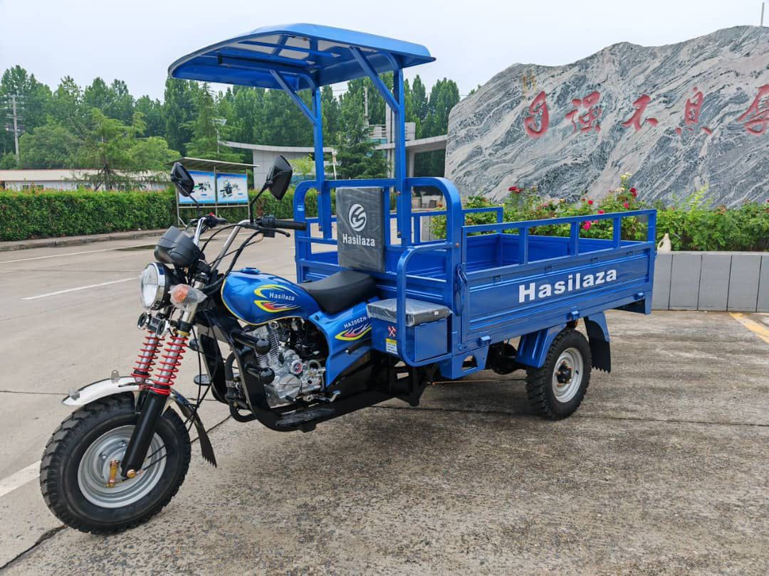 Tricycle Cargo Hasilaza Motor